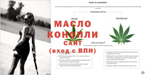 каннабис Беломорск