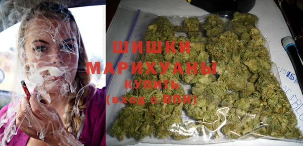 PSILOCYBIN Белокуриха