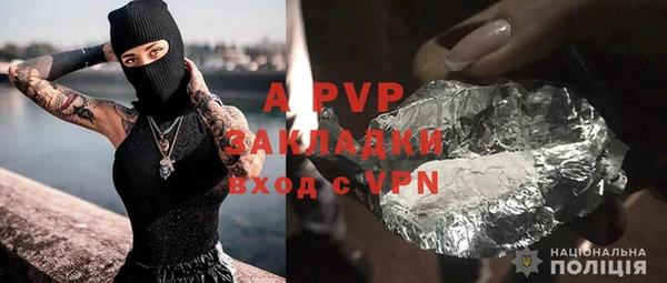PSILOCYBIN Белокуриха
