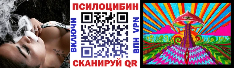 где найти наркотики  Вяземский  это какой сайт  Галлюциногенные грибы мицелий 